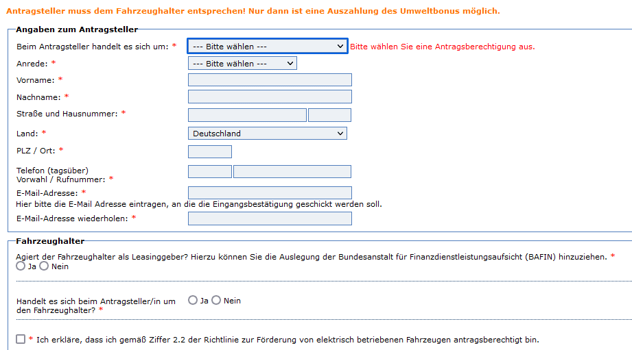 Screenshot BAFA Förderung - Antragsformular